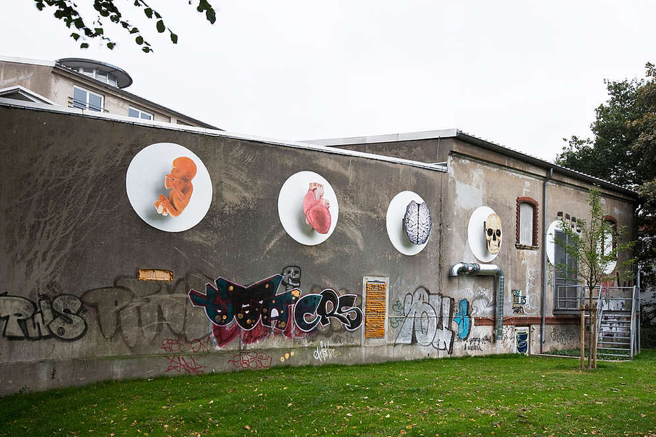 3b5147440dfc54edec7980b4efe86f77d4cda4cd